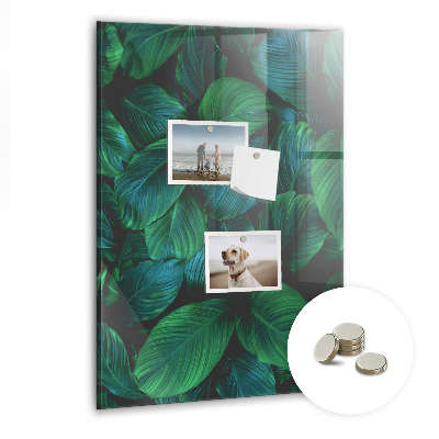 Magnetic board for wall Large tropical leaves