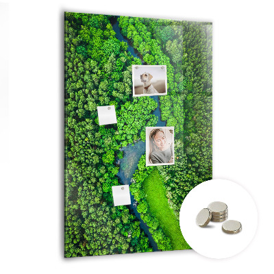Magnetic board for office River in the forest